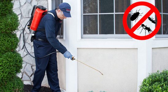 Dinar Hamam Böceği İlaçlama böcek ilaçlama ve haşere kontrolü — ilaclama-tr.com